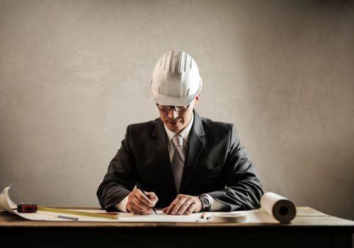 Asistenta la proiect